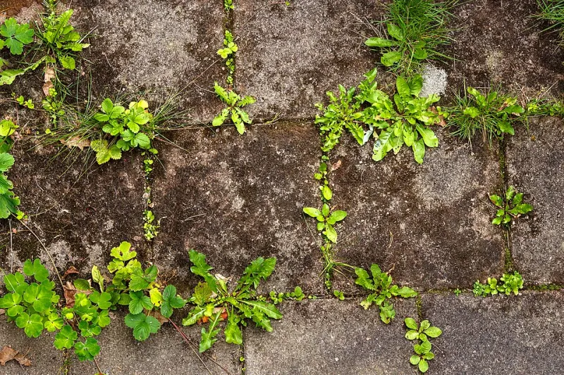 What Concrete Failures Actually Cost: The Long-Term Price of Skipping Premium Standards